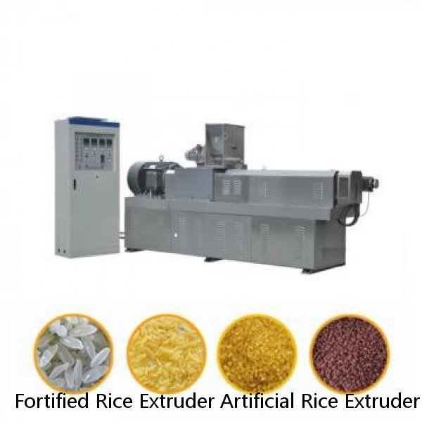 Fortified Rice Extruder Artificial Rice Extruder Fortified Rice Making Nutritional Extrusion Machine Artificial Rice Processing Line Food Extruder Machine FRK