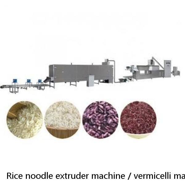 Rice noodle extruder machine / vermicelli machine / noodle making machine price