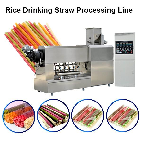 Non Plastic Drinking Straw Extruder Processing Machinery Rice Pasta Straws Manufacturing Line