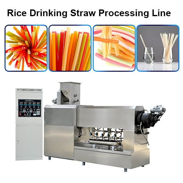 China Degradable Drinking Straw Food Production Making Processing Machines