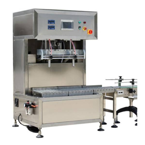 Automatic Weighing and Bagging Machine for Granule Weighing/Filling/Sealing