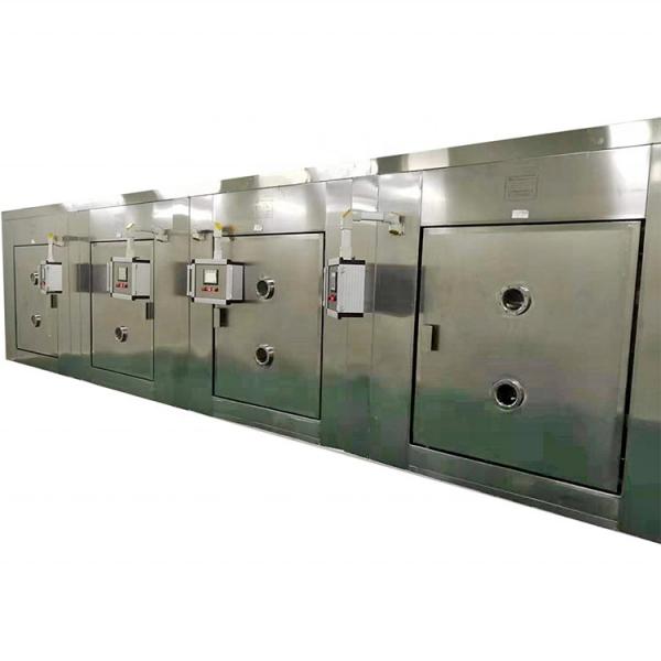 Conveyor System Chain Belt Pre-Heating Uniform Conveyor Belt Dryer