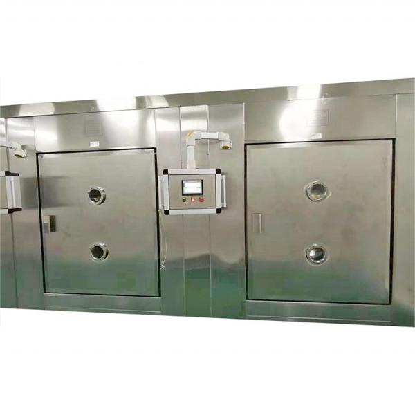 Tunnel Continuous Industrial Mealworm Microwave Vacuum Oven Dryer