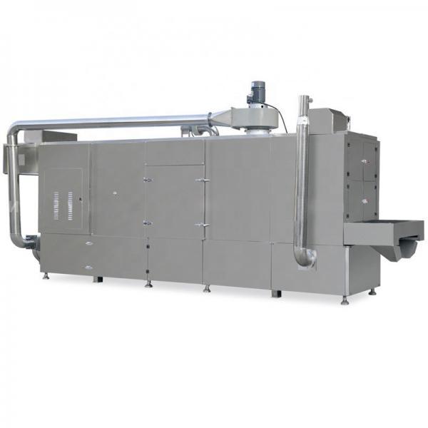 Conveyor System Chain Belt Pre-Heating Uniform Conveyor Belt Dryer
